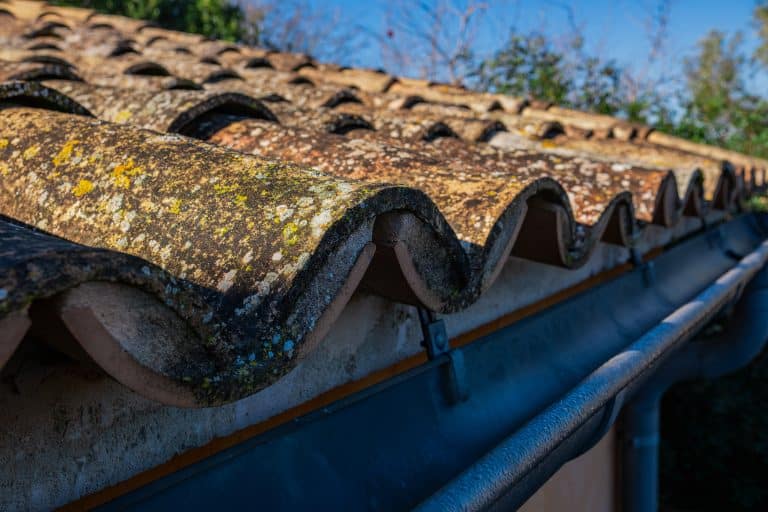 Old tiles overgrown with moss